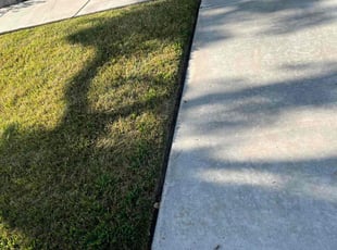 Concepcion C.'s Lawn Mowing service result