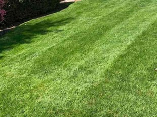 Tracy L.'s Lawn Service service result