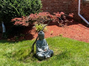 Bush Trimming by Marika Crawford for Mark D P. in Washington, DC