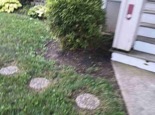 Bush Trimming by Caleb Patton for Meredith T. in Cincinnati, OH