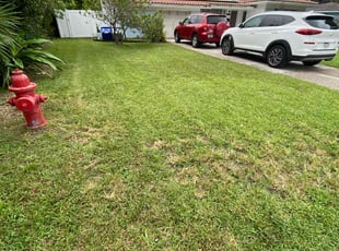 Teresa B.'s Lawn Mowing Service service result