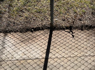 Leaf Removal by Devousier Carter for Erin S. in DeSoto, TX
