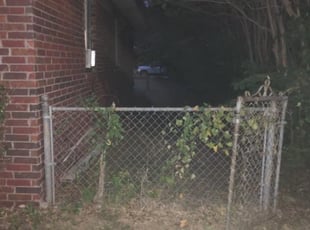 Bryant A.'s Bush Trimming service result