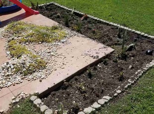 Weeding by Dallas Willingham for Sean B. in Summerville, SC
