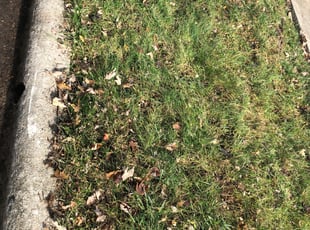 Leaf Removal by Kevin DeMarco for Krystal H. in Columbus, OH