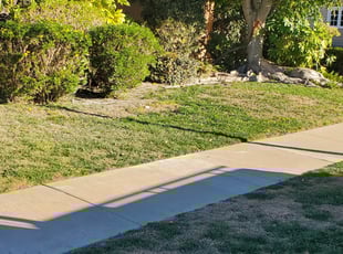 Bush Trimming by Bernardo Arroyo for Alexis B. in Los Alamitos, CA