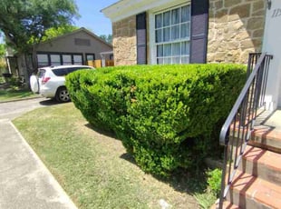 Bush Trimming by Keith Lamkin for Darrell T. in San Antonio, TX