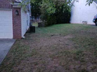Leaf Removal by Michael Marshall for Sue R. in Lawrenceville, GA