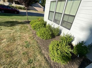 Weeding by Anthony Grant for Mark K. in Indianapolis, IN