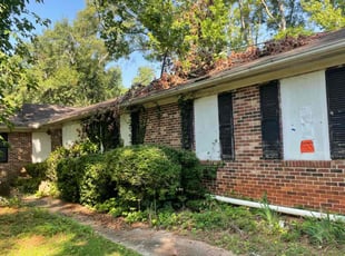 Rachel R.'s Bush Trimming service result