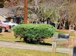 Bush Trimming by Willie P for Avis M. in Stockbridge, GA