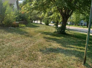 Leaf Removal by Abigial Klar for Pa L. in Ramsey, MN