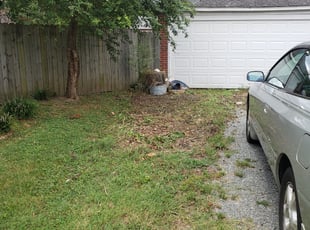 Cleanups by Ryan Harrison for Jeanine C. in Richmond, VA
