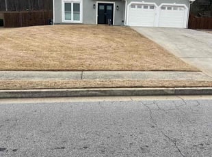 Stacey R.'s Lawn Mowing service result