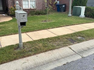 Violet T.'s Lawn Service service result