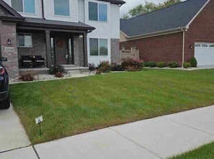 Michael A.'s Lawn Service service result