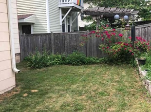 Weeding by John McCardle for David R. in Milwaukee, WI