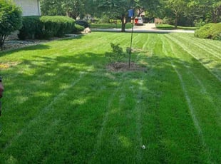 Bush Trimming by Dwayne White for Jim K. in Frankfort, IL