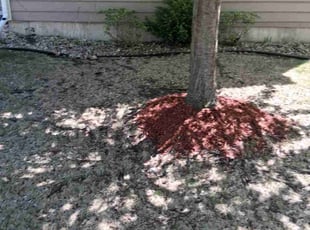 Mulching by Kevin Rhyne for Eric L. in Verona, WI