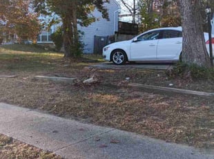 Leaf Removal by Rómulo González for Barbara B. in Waldorf, MD