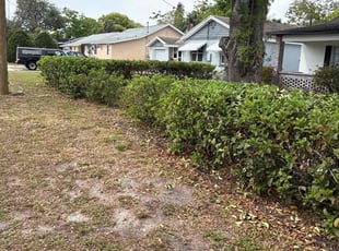 Bush Trimming by Luis Longa for Stephan P. in Winter Park, FL
