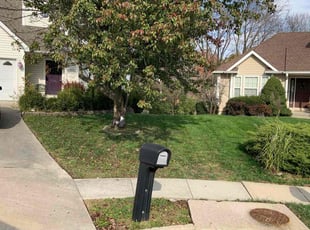 Jimmie S.'s Yard Cutting service result