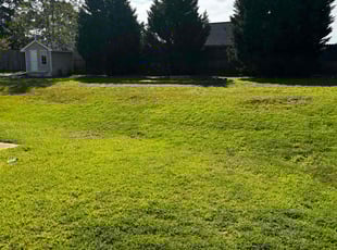 Debra P.'s Lawn Maintenance service result