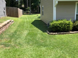Judy f.'s Yard Cutting service result