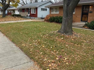 Leaf Removal by Xavier Thomas for Tecy Y. in Milwaukee, WI