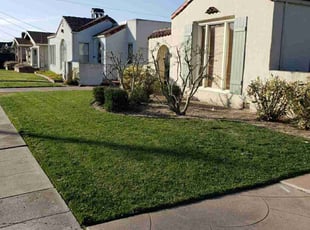 Fred b.'s Yard Cutting service result
