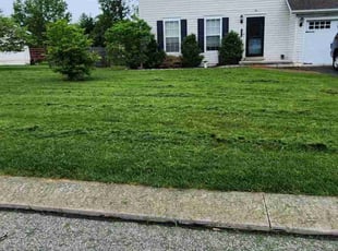 Thaddeus D.'s Yard Cutting service result