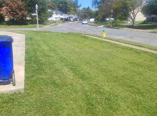 Rob H.'s Lawn Care service result