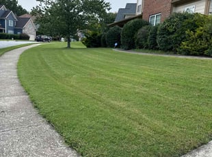 Vik K.'s Lawn Mowing Service service result