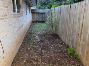 Leaf Removal by Ray Ramon for Georgia B. in San Antonio, TX