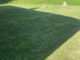 Pat M.'s Grass Cutting service result
