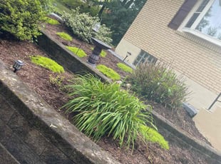 Weeding by Charles Williams for Lisa B. in Pittsburgh, PA