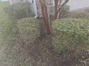 Weeding by Michael Thomas for Derrick I. in Jacksonville, FL