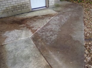 Leaf Removal by Richard Lim for Amy C. in San Antonio, TX