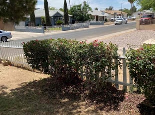 Bush Trimming by Ryan Stan for Katie S. in Glendale, AZ