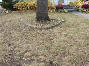 Cleanups by Derrick Lance for Megan R. in Minneapolis, MN