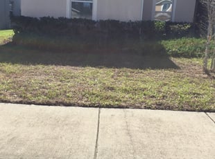 Bush Trimming by William Chavers for Denise R. in Riverview, FL