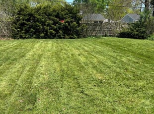 Bush Trimming by Troy Brown for Melvin C. in Toledo, OH