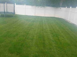 Nilanjan B.'s Grass Cutting service result