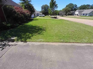 Warren C.'s Lawn Mowing Service service result
