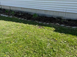 Weeding by Aileen Sanchez for Brian S. in Oswego, IL
