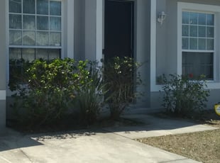 Bush Trimming by Wildalbert Ortiz for Christina W. in Davenport, FL