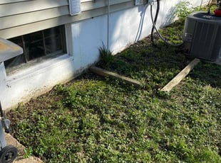 Leaf Removal by Brytani Williams for Micah M. in Saint Ann, MO