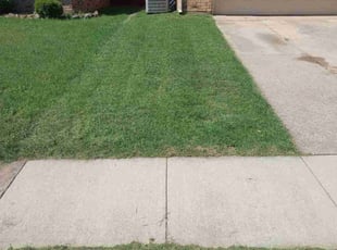 Terrie A.'s Lawn Maintenance service result