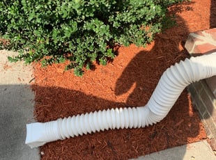 Weeding by Anthony Bartell for Debora R. in Portsmouth, VA