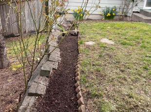 Weeding by Anthony Jacob for Rick H. in Sammamish, WA